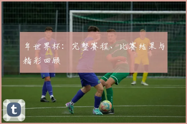 年世界杯：完整赛程、比赛结果与精彩回顾